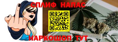 СК Шебекино