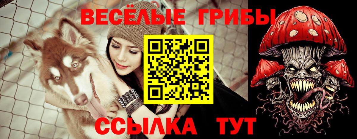 Псилоцибиновые грибы ЛСД  Вход с VPN  Псилоцибиновые грибы GOLDEN TEACHER  Артёмовский 